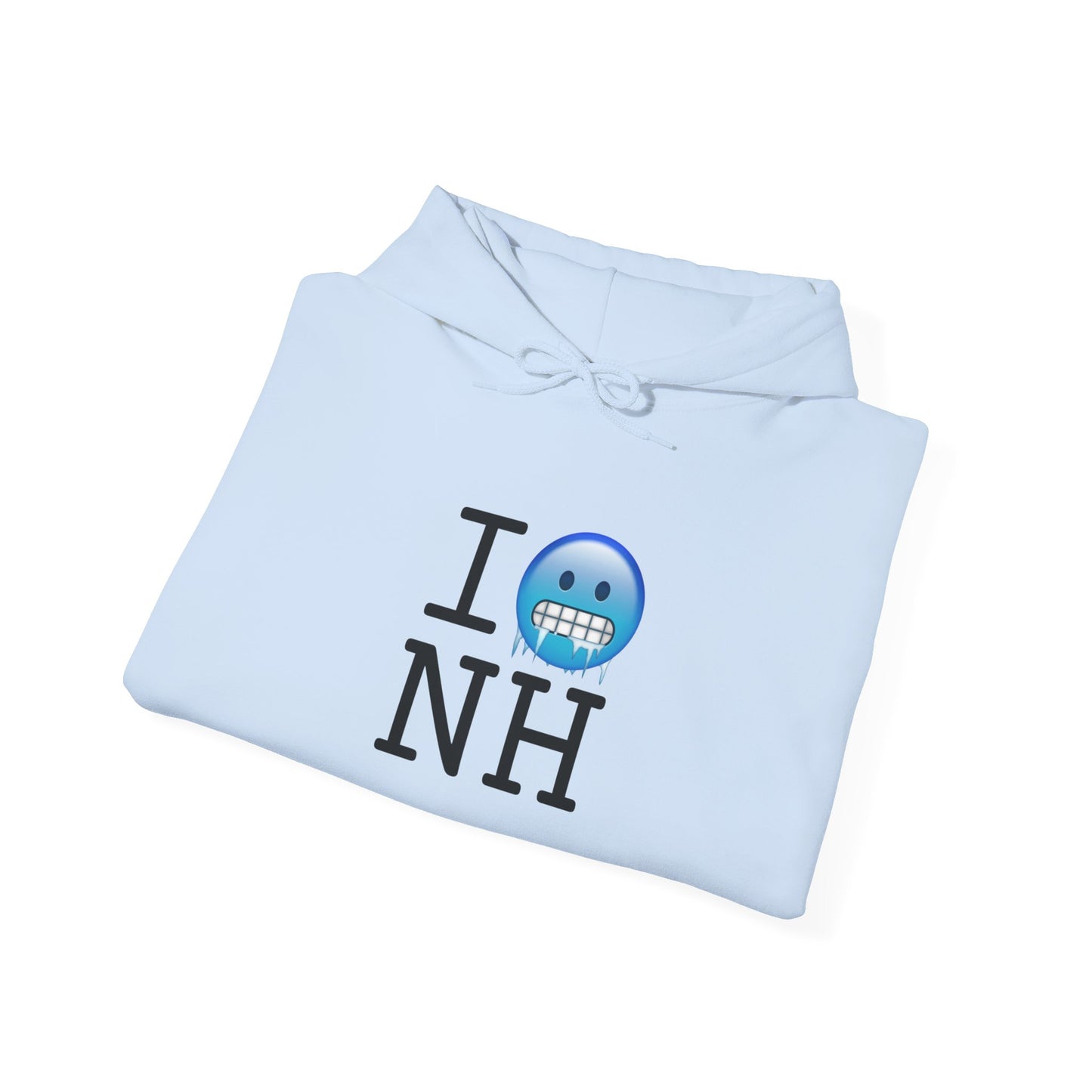 "I'm Cold in New Hampshire" Hoodie