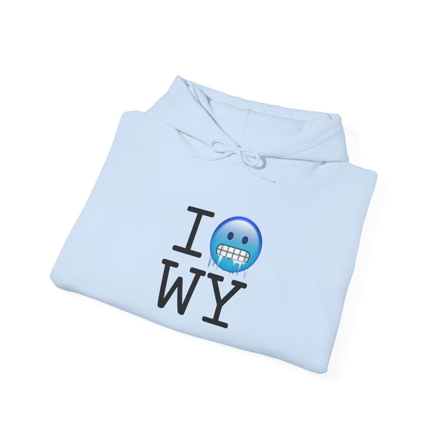 "I'm Cold in Wyoming" Hoodie