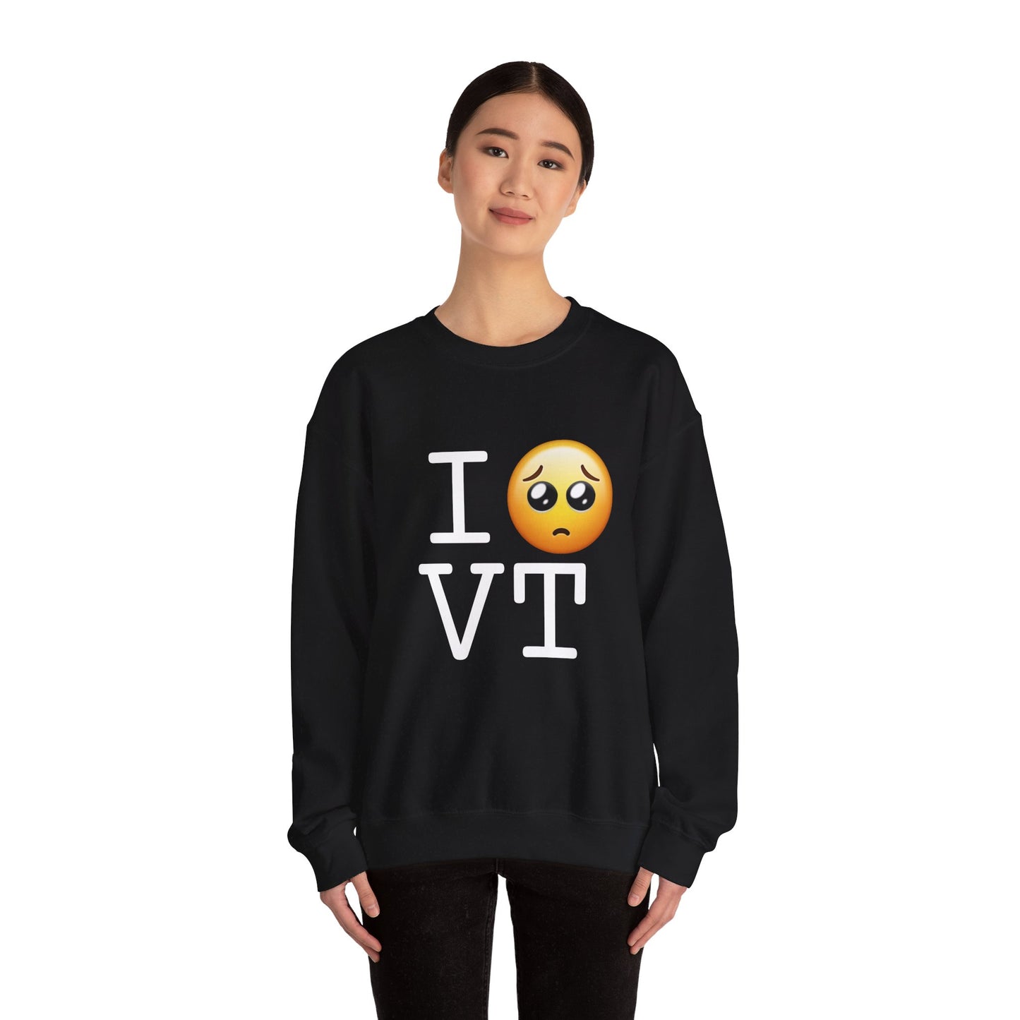 "I'm Begging about Vermont" Sweatshirt