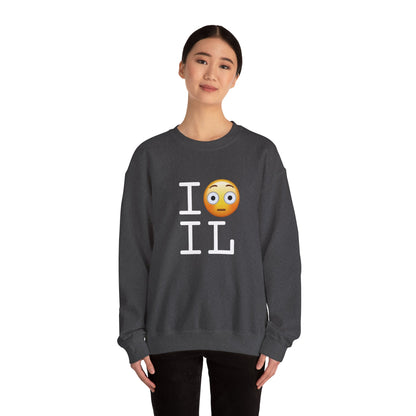 "I'm Embarrassed by Illinois" Sweatshirt
