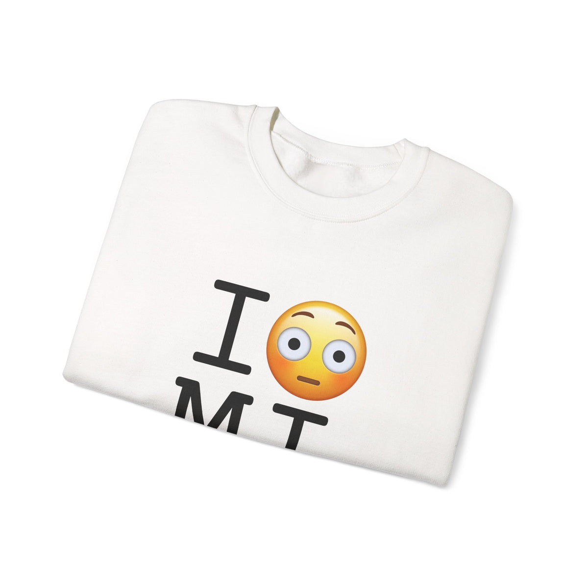 "I'm Embarrassed by Michigan" Sweatshirt