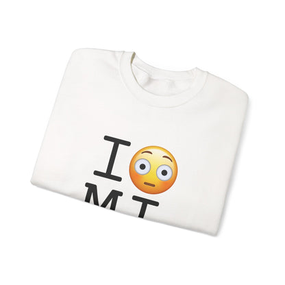 "I'm Embarrassed by Michigan" Sweatshirt