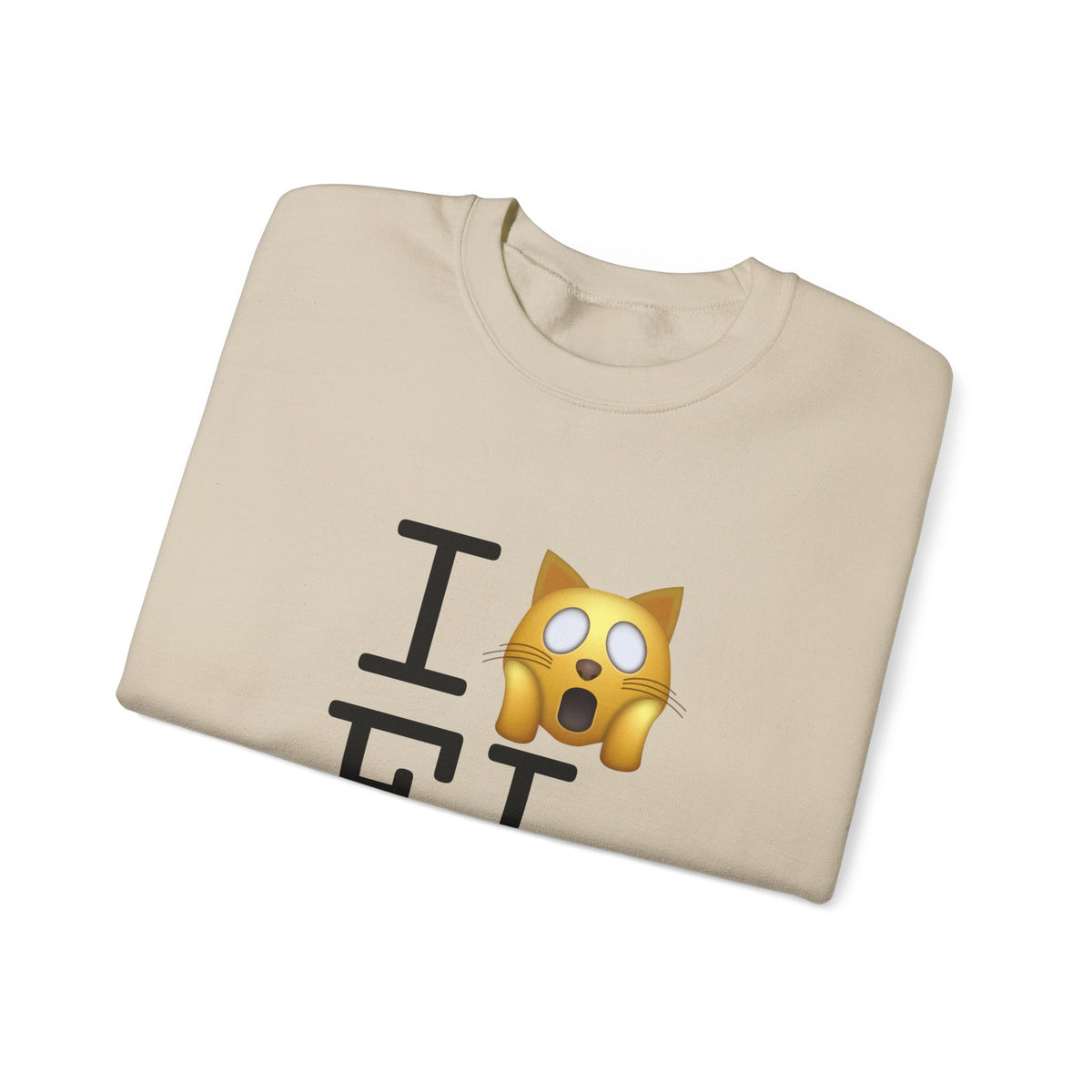 "I'm a Scaredy Cat about Florida" Sweatshirt