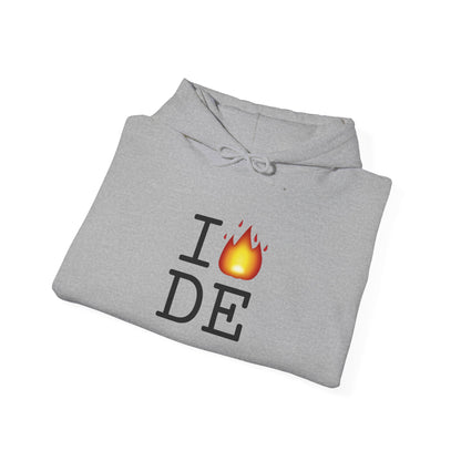 "I've got Fire for Delaware" Hoodie