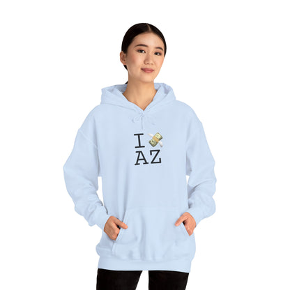 "I Lose Money in Arizona" Hoodie