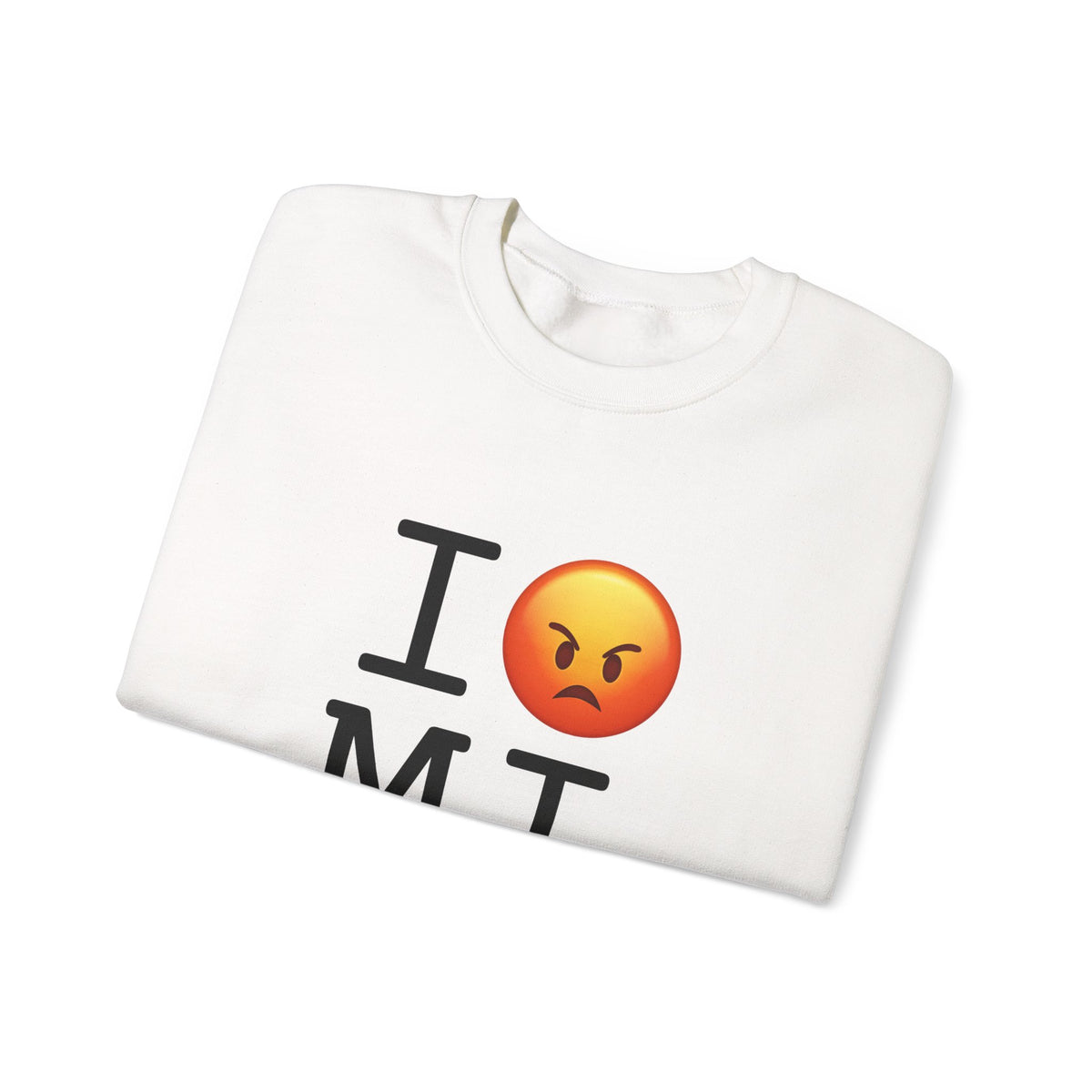 "I'm Angry about Michigan" Sweatshirt