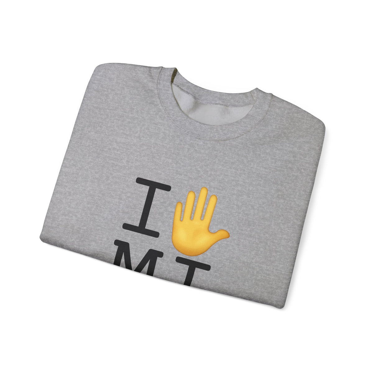 "I Stop (Raised Hand) Michigan" Sweatshirt