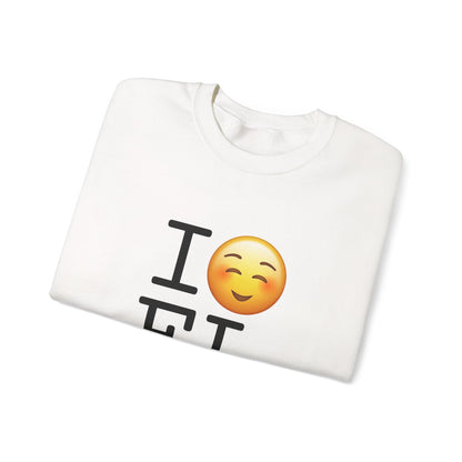 "I Blush at Florida" Sweatshirt
