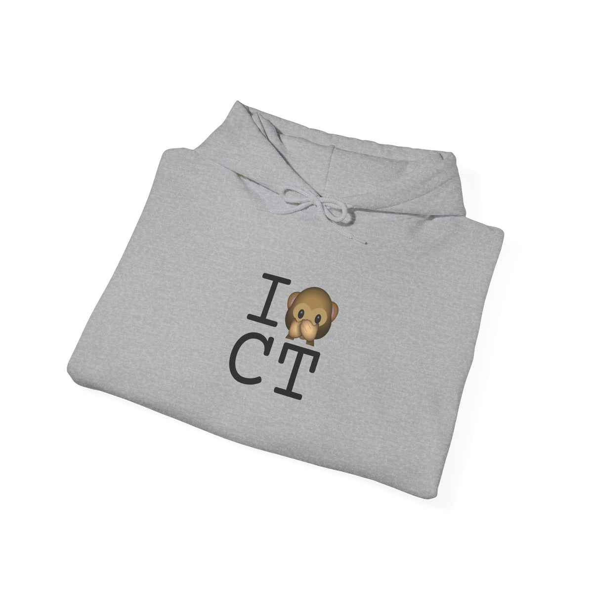 "I Don't Speak about Connecticut" Hoodie