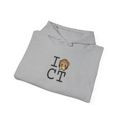 "I Don't Speak about Connecticut" Hoodie