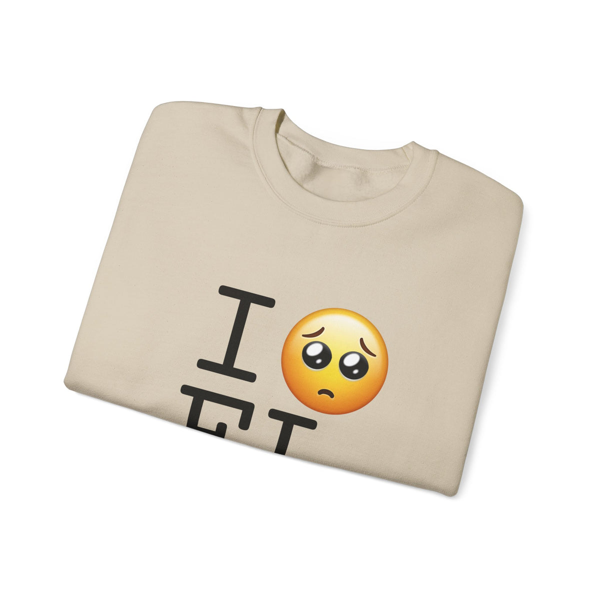 "I'm Begging about Florida" Sweatshirt