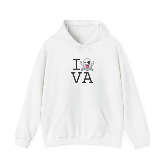 "I'm Ghosting Virginia" Hoodie