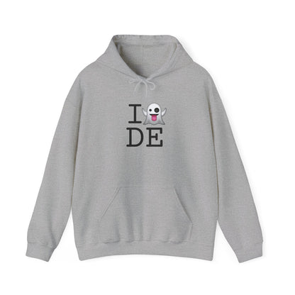 "I'm Ghosting Delaware" Hoodie