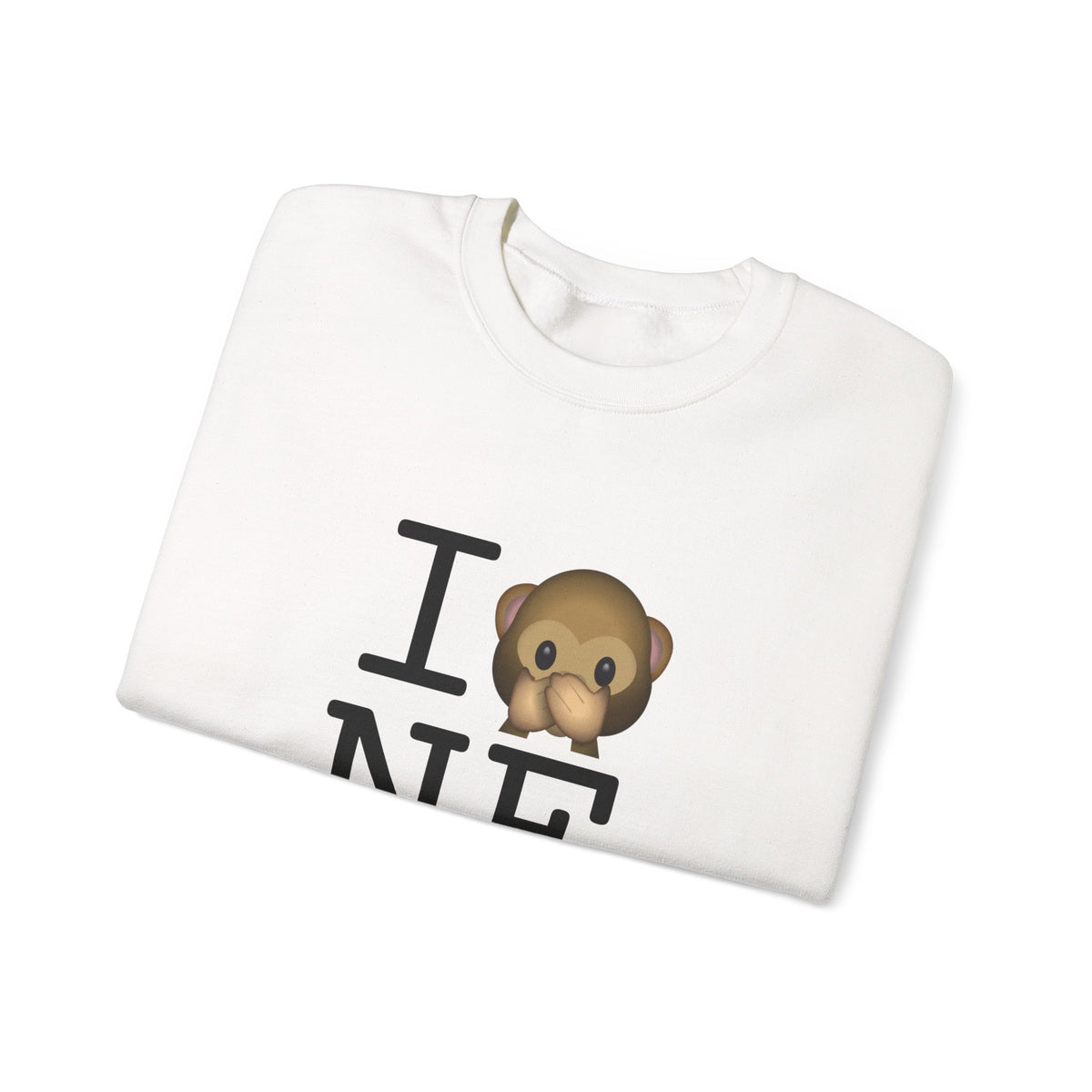 "I Don't Speak about Nebraska" Sweatshirt