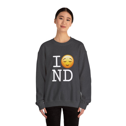 "I'm Relieved about North Dakota" Sweatshirt