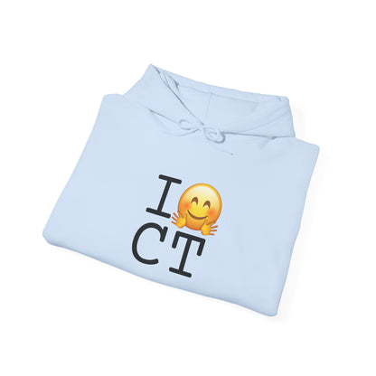 "I Hug Connecticut" Hoodie