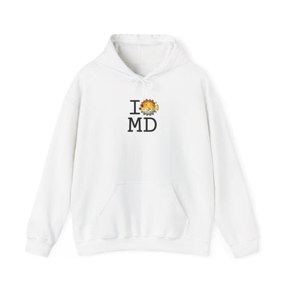 "I Blowfish in Maryland" Hoodie