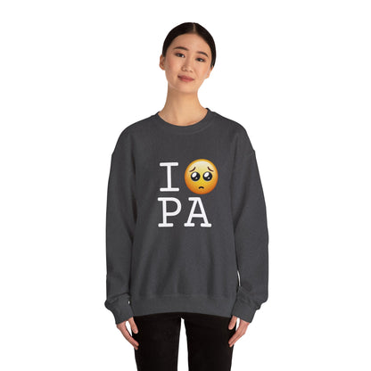 "I'm Begging about Pennsylvania" Sweatshirt