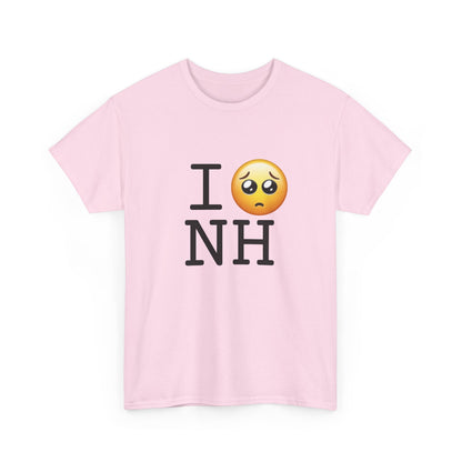 "I'm Begging about New Hampshire" Tee
