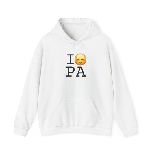 "I Blush at Pennsylvania" Hoodie