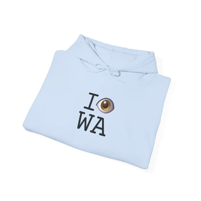 "I See (Eye) Washington" Hoodie