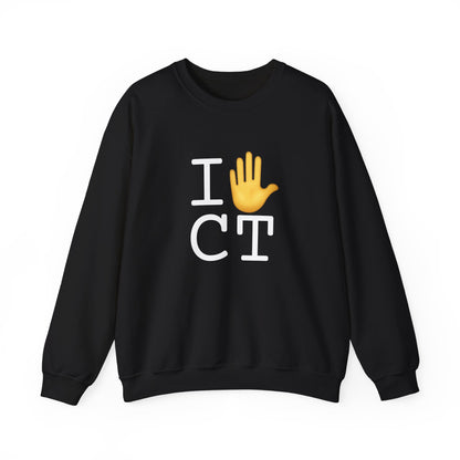 "I Stop (Raised Hand) Connecticut" Sweatshirt