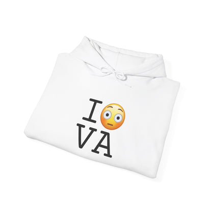 "I'm Embarrassed by Virginia" Hoodie