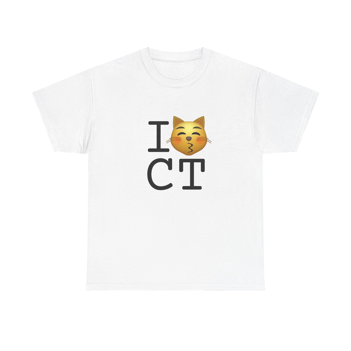 "I'm a Kissing Cat toward Connecticut" Tee