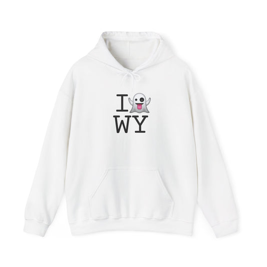 "I'm Ghosting Wyoming" Hoodie