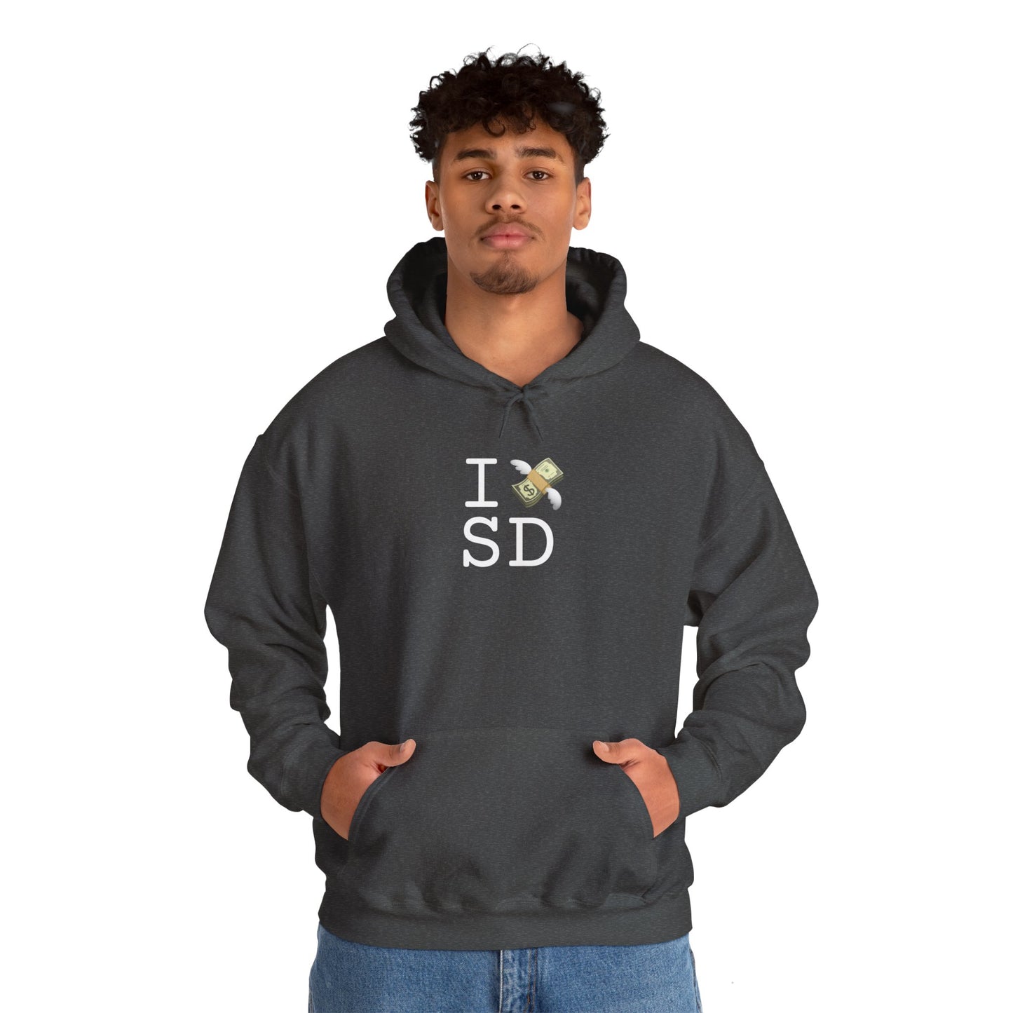 "I Lose Money in South Dakota" Hoodie