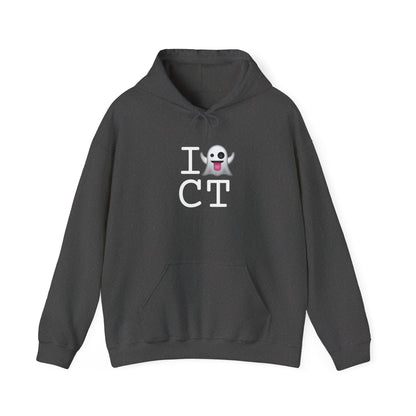 "I'm Ghosting Connecticut" Hoodie