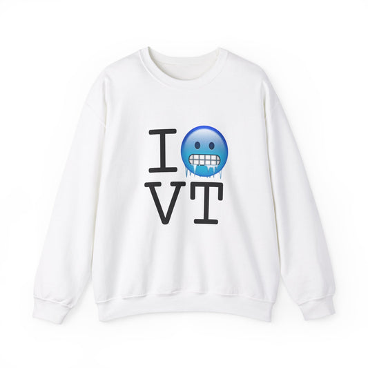 "I'm Cold in Vermont" Sweatshirt