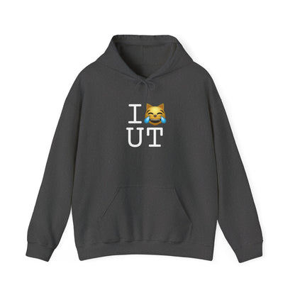 "I'm Laughing like a Cat at Utah" Hoodie