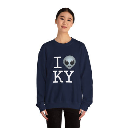 "I Feel Alien in Kentucky" Sweatshirt