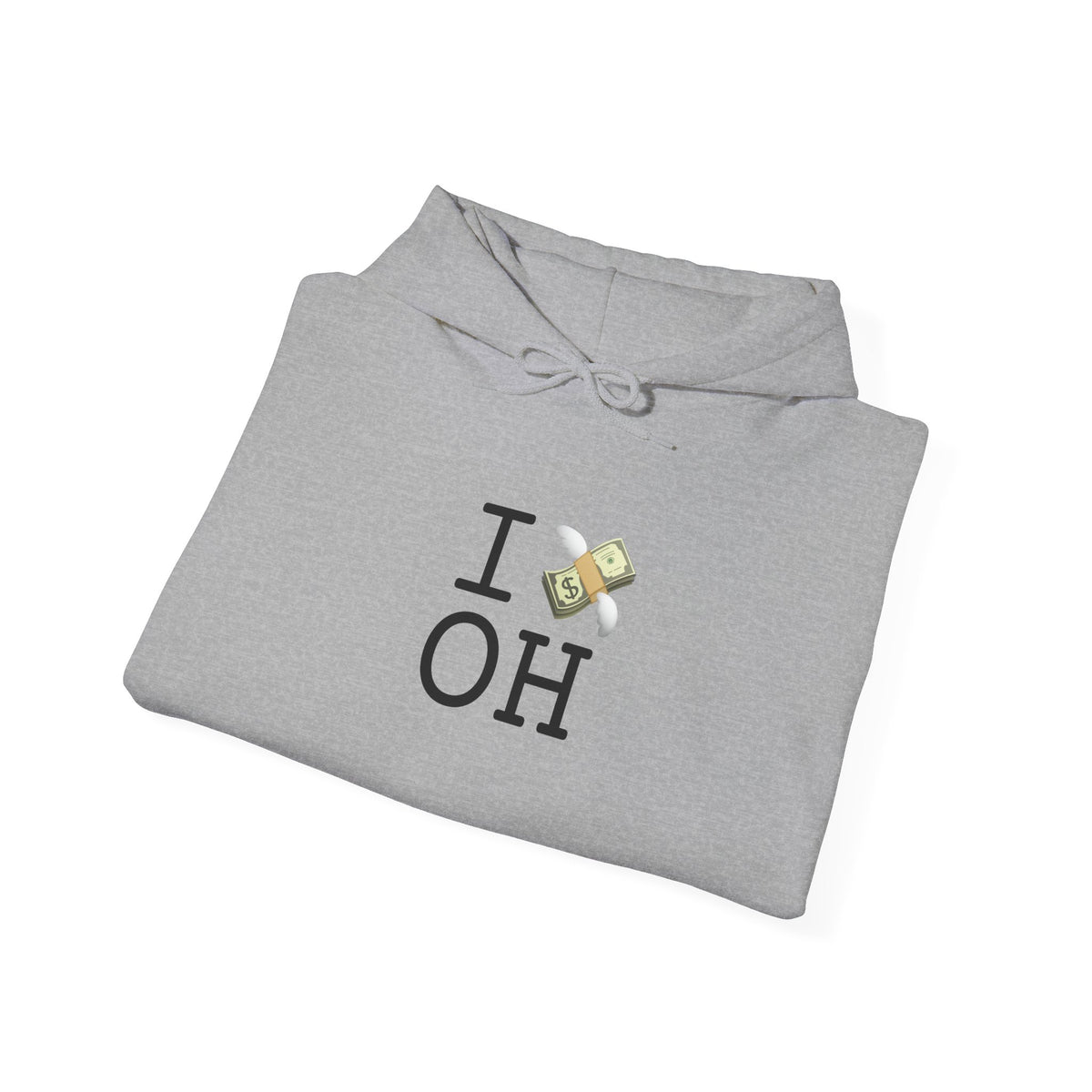 "I Lose Money in Ohio" Hoodie