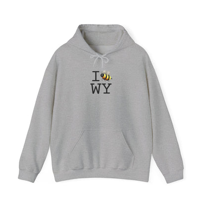 "I Bee in Wyoming" Hoodie