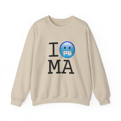 "I'm Cold in Massachusetts" Sweatshirt