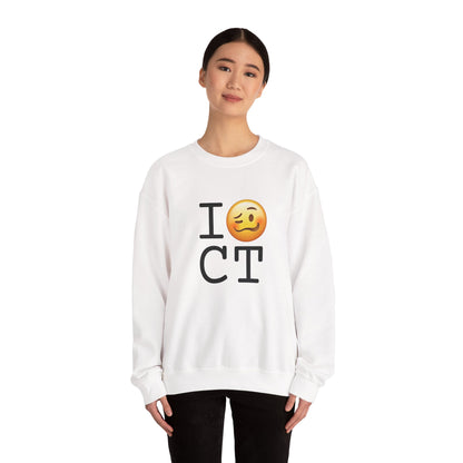 "I'm Drunk in Connecticut" Sweatshirt