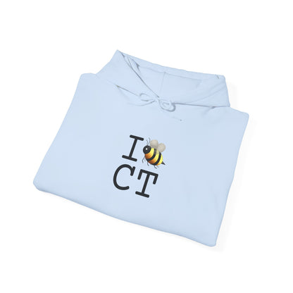 "I Bee in Connecticut" Hoodie
