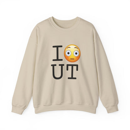 "I'm Embarrassed by Utah" Sweatshirt