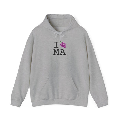 "I Grape Massachusetts" Hoodie