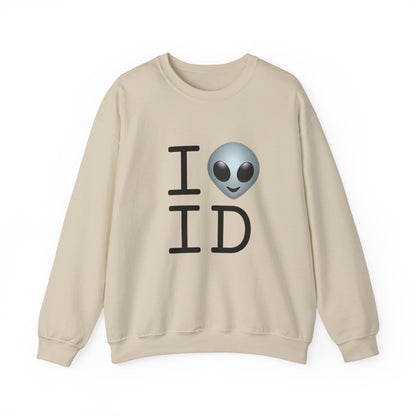 "I Feel Alien in Idaho" Sweatshirt
