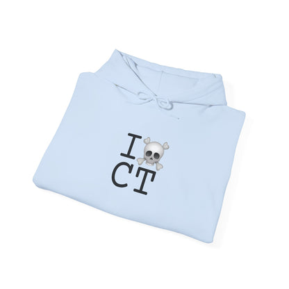 "I'm a Pirate in Connecticut" Hoodie