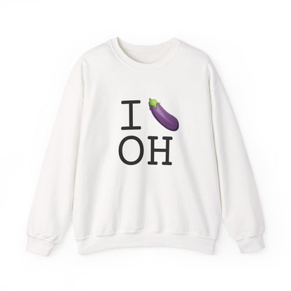 "I Eggplant Ohio" Sweatshirt
