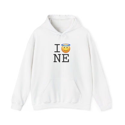 "I'm an Angel in Nebraska" Hoodie