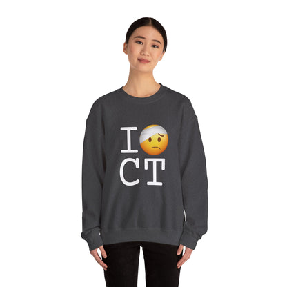 "I'm Hurt in Connecticut" Sweatshirt