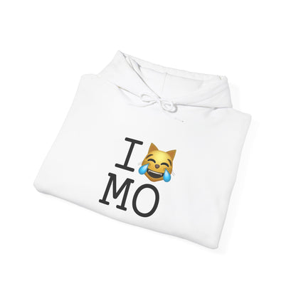 "I'm Laughing like a Cat at Missouri" Hoodie