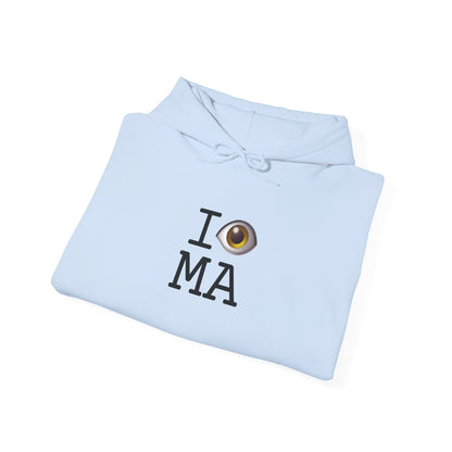 "I See (Eye) Massachusetts" Hoodie