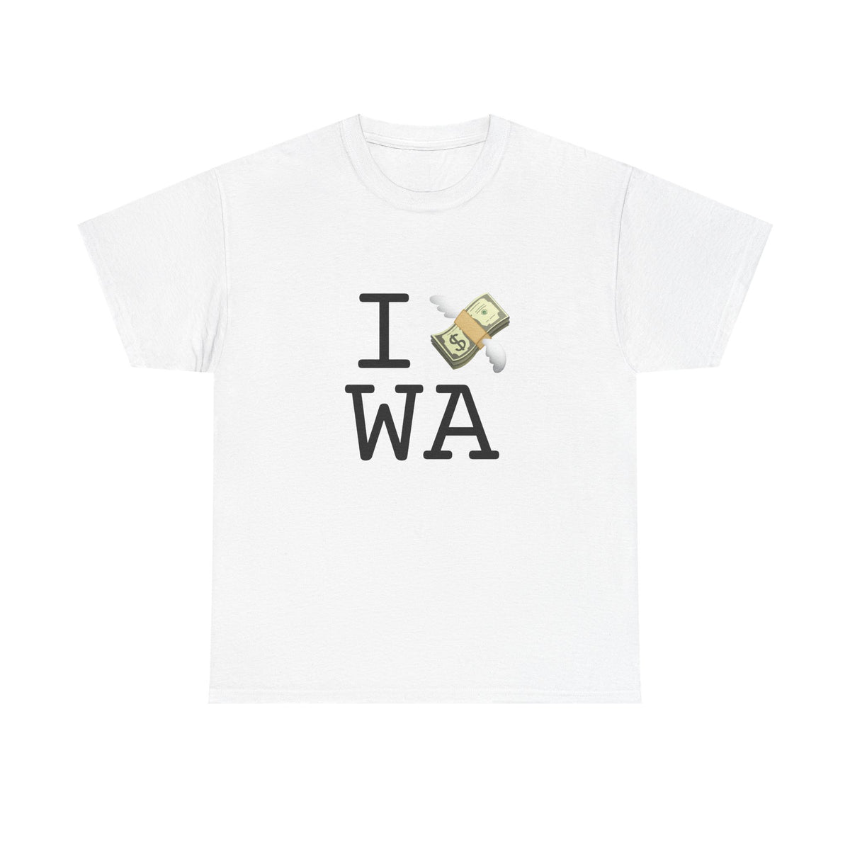 "I Lose Money in Washington" Tee