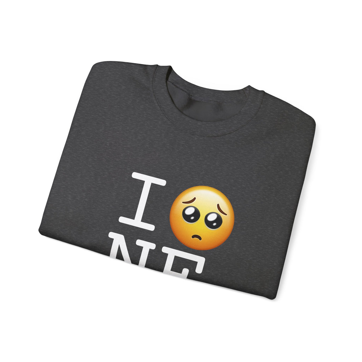 "I'm Begging about Nebraska" Sweatshirt